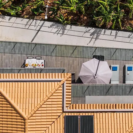 Villa Harmonia By Homie